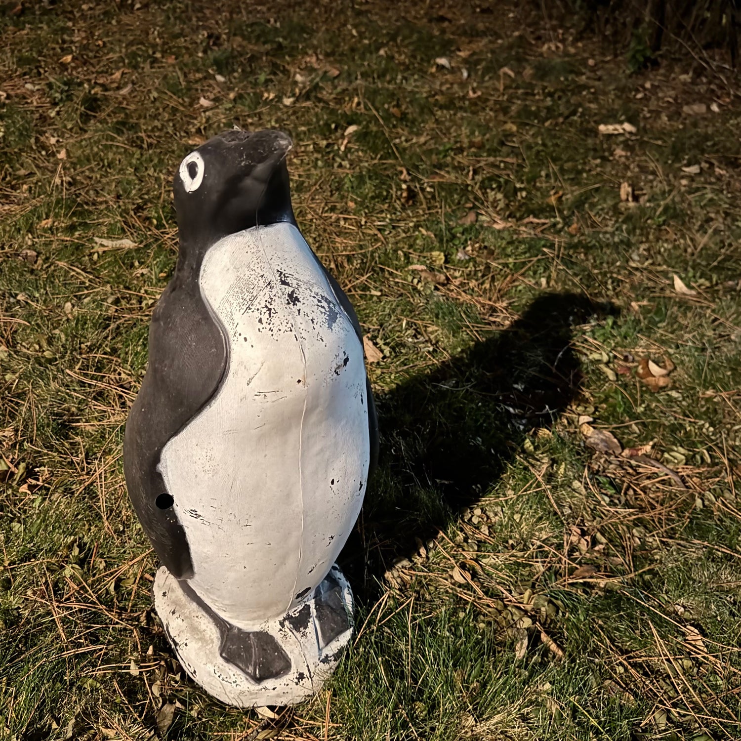 Alan Sparhawk - JCMF / No More Darkness