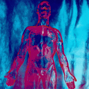 Nirvana - Sliver/Dive - Sub Pop Official Store – Sub Pop Mega Mart Nirvana - Sliver/Dive - Sub Pop Official Store – Sub Pop Mega Mart